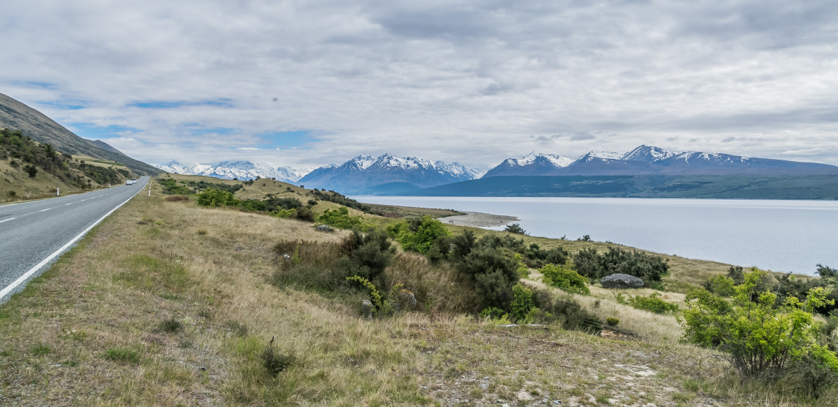 Overpopulation and Eating Insects - HubPages