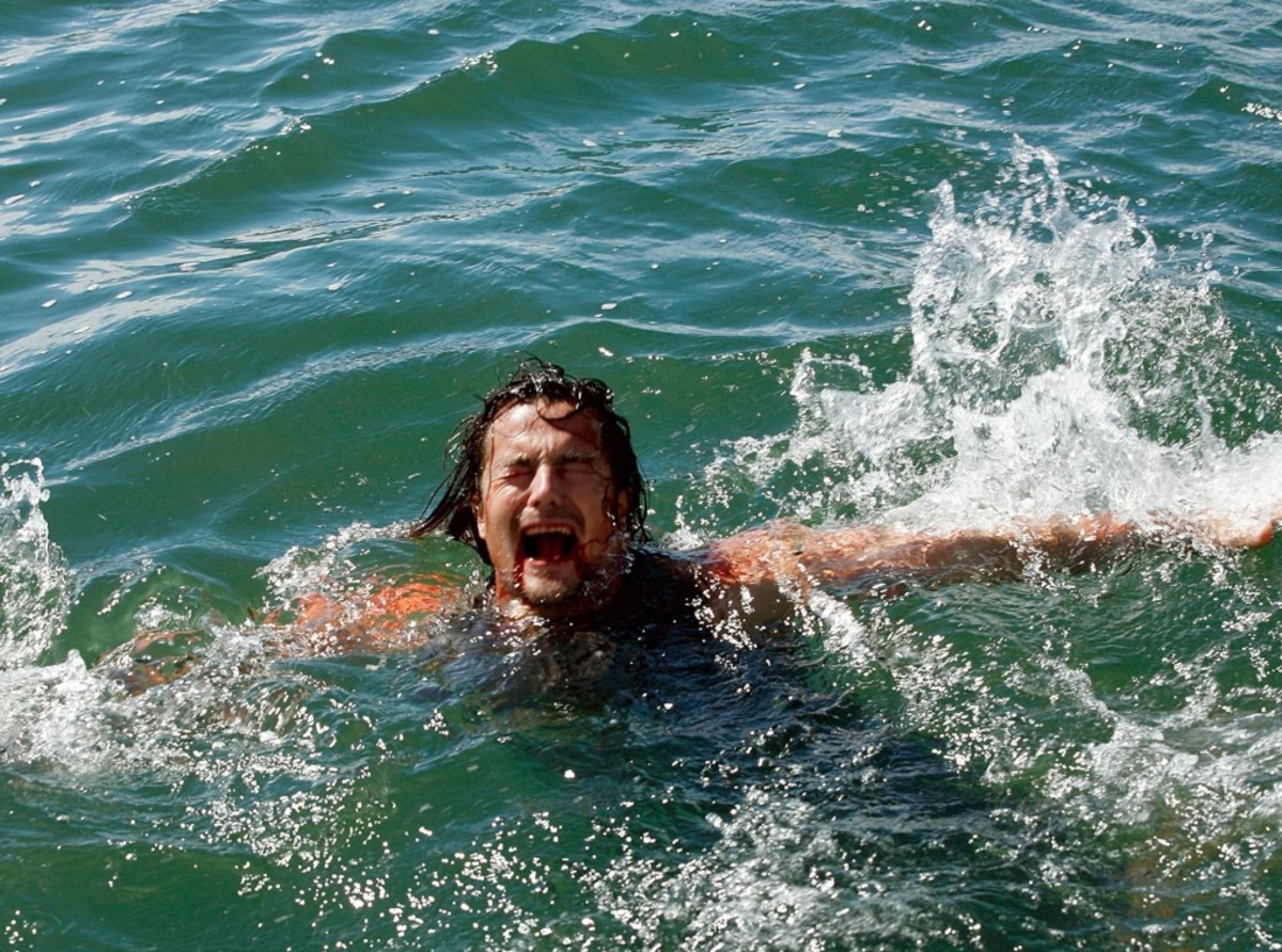 Shark Attack Sunday: Malibu Shark Attack (2008)