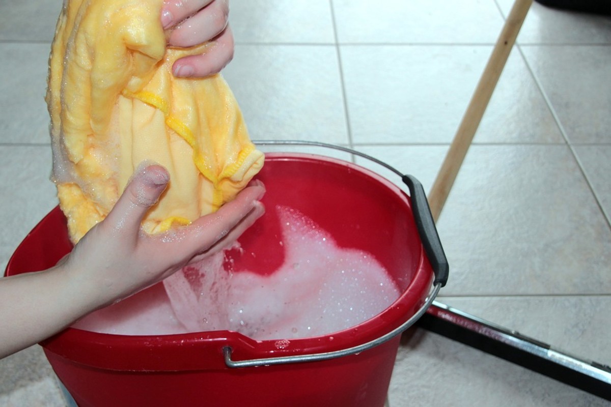 Cleaning Tips for a Busy Life-Style