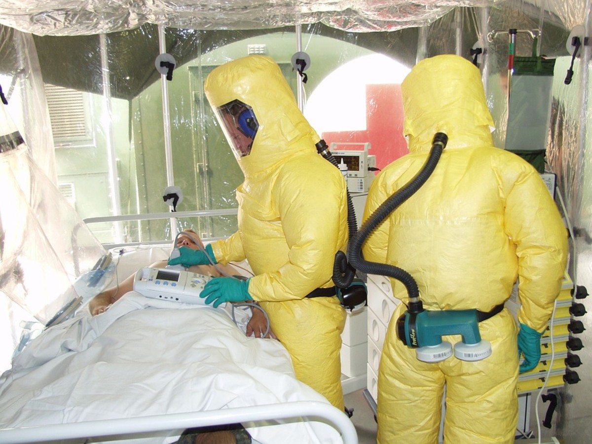 Ebola Virus Disease: Pandemic or Epidemic?