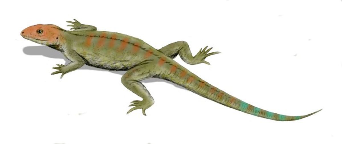 Prehistoric Sea Animals That Roamed the World