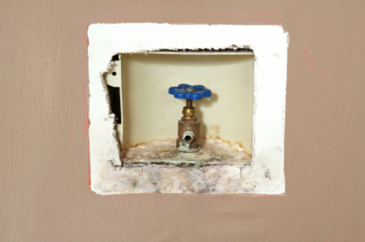 How to identify mold in your home and  get rid of it
