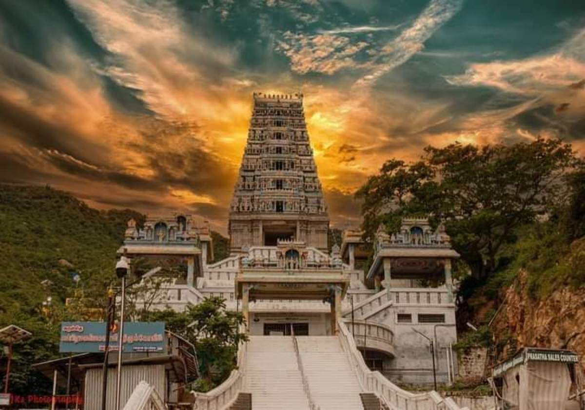 The Marudhamalai Temple: Where Devotion Meets Nature’s Magic