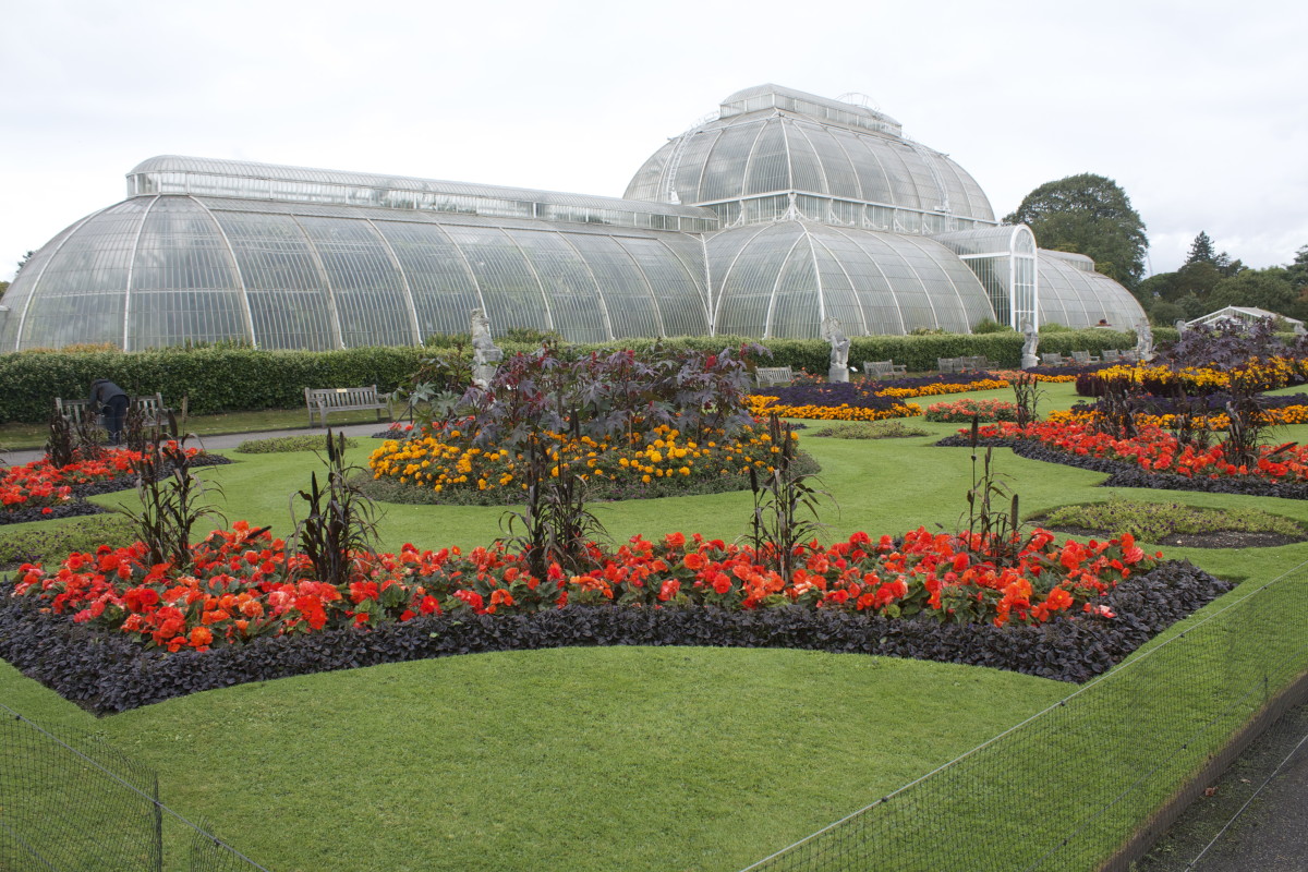 A Giant in Botany: Sir Joseph Banks