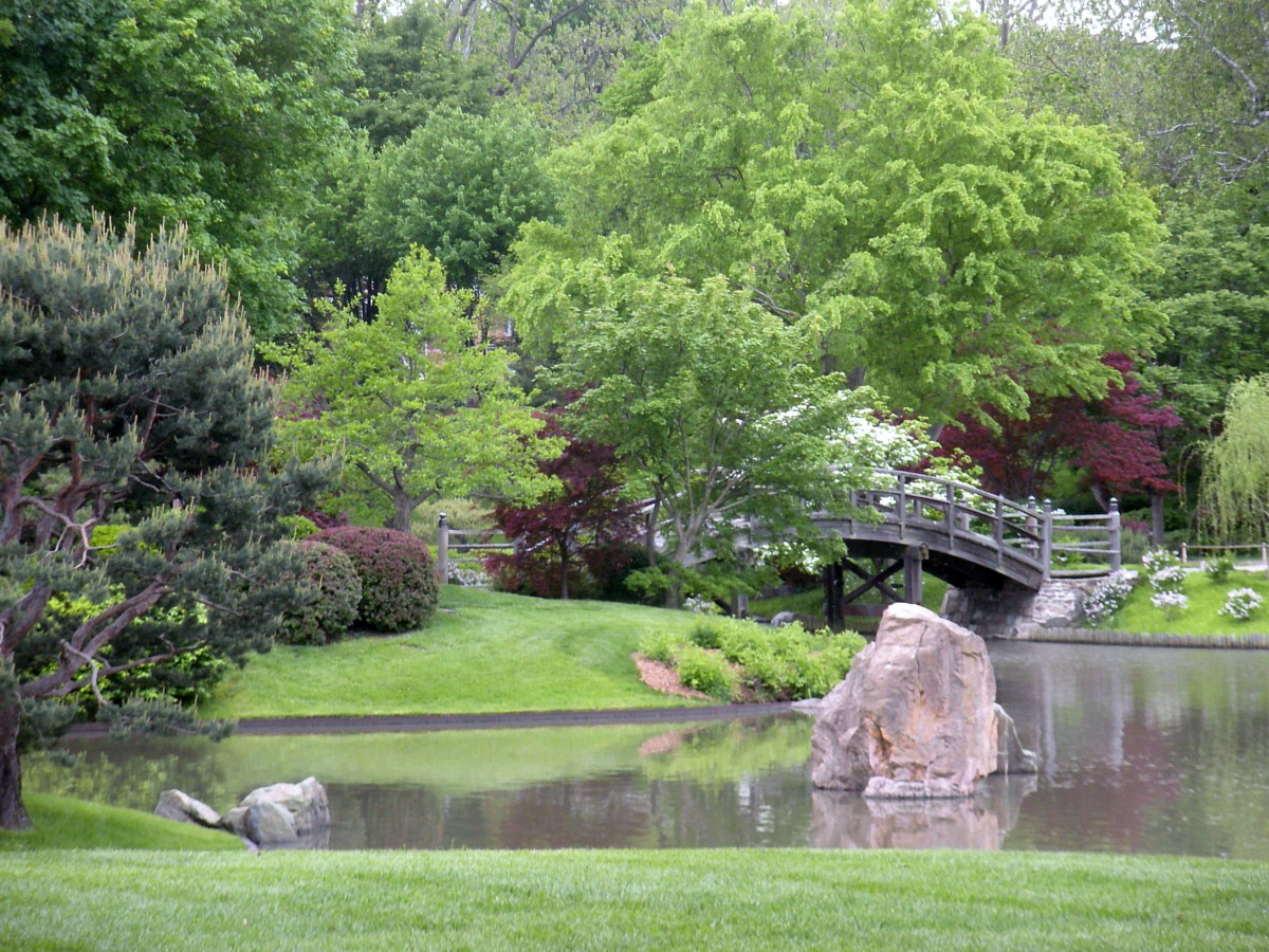 Relaxing Garden Scenes - A Gallery and Thoughts