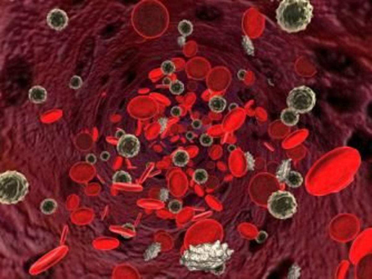 How Multi-Vitamins Can Boost Immunity and Treat Leukopenia