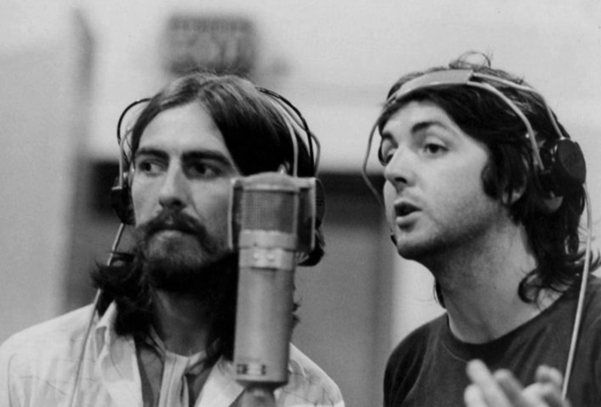 100 Best Songs About Marine Animals