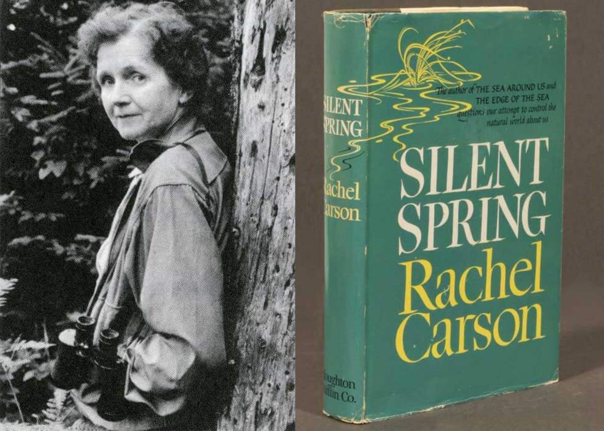 Rachael Carson, Author of Silent Spring
