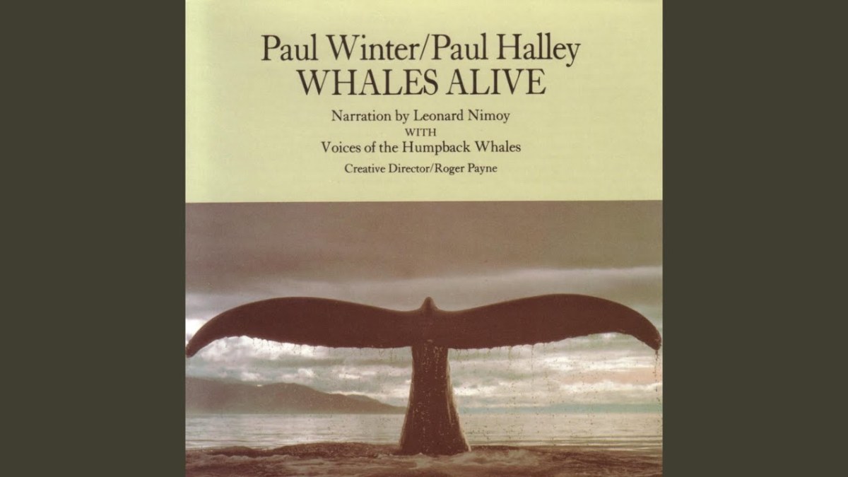 100 Best Whale Songs