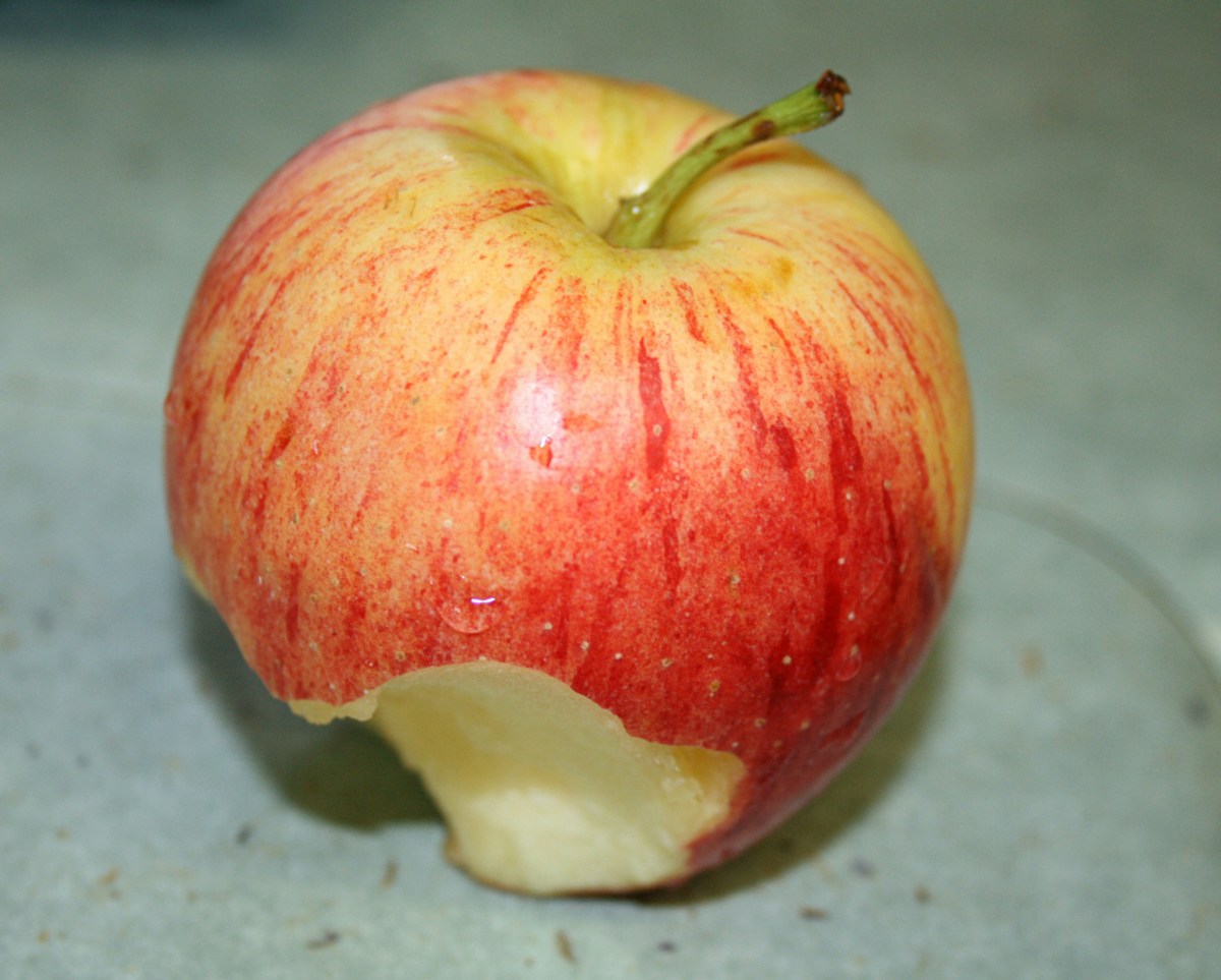 I Don't Even Know the Taste of the Apple I Taste