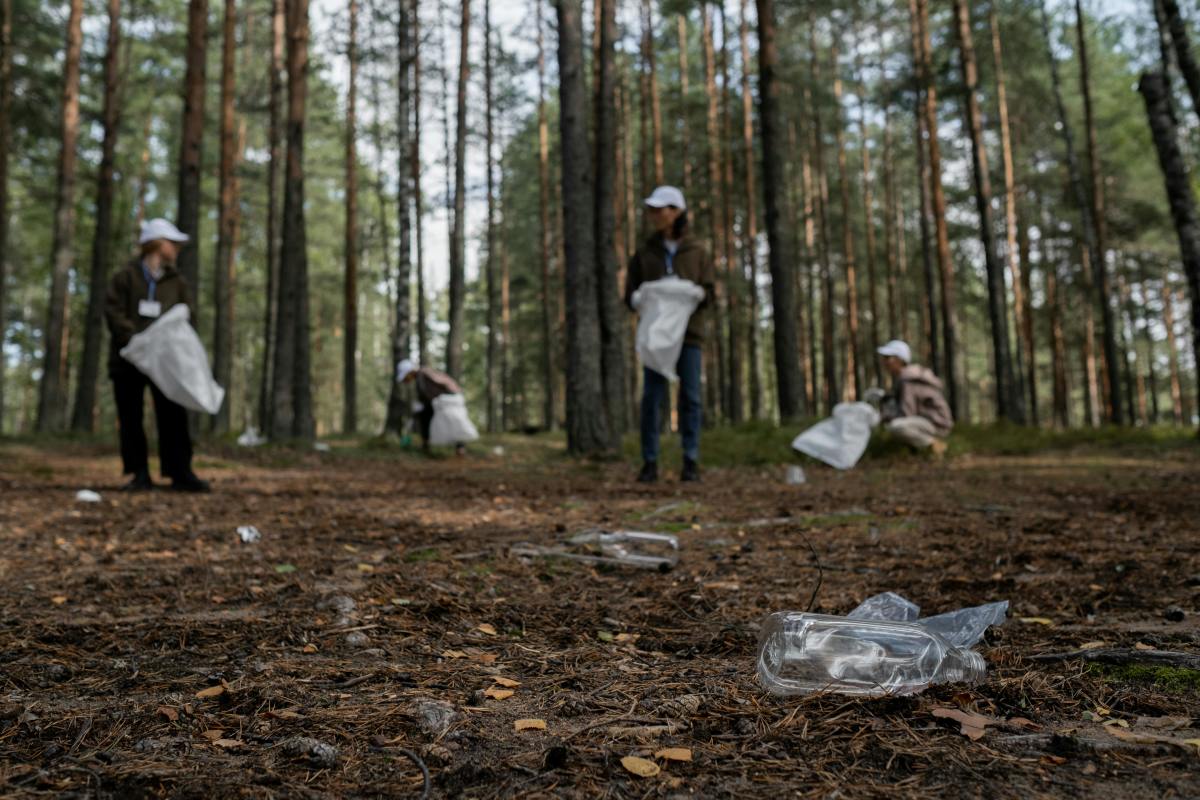 How the Community Can Get Involved With Wildlife Conservation