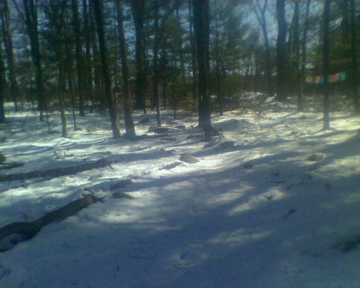 At the Center of the Labyrinth