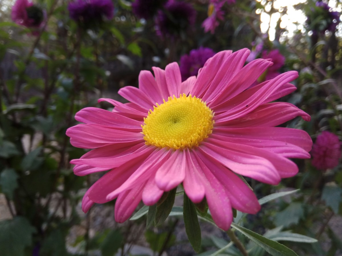 30 Quotes About September: The Herald of Autumn