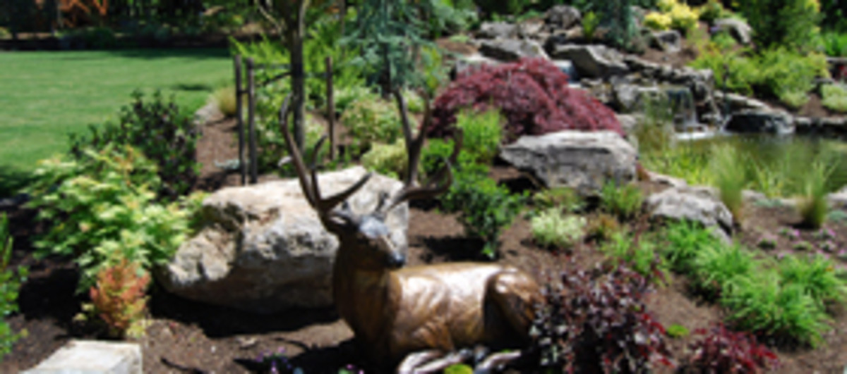 Landscaping Creating Quality Curb Appeal