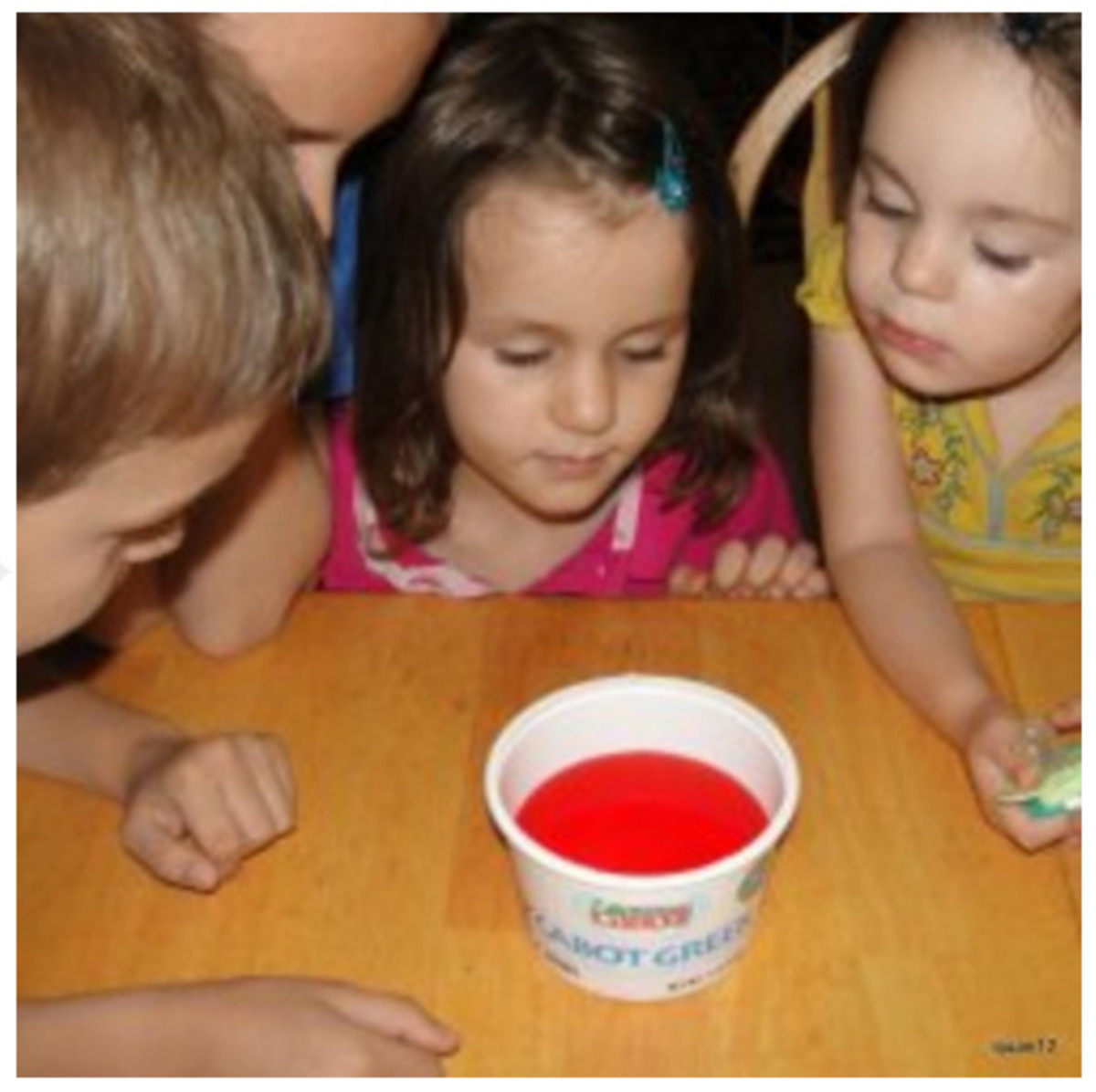 Teaching Chemistry to Young Children