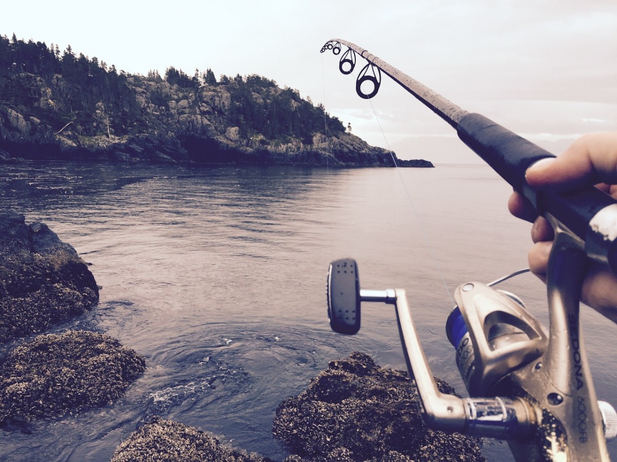 Fish For Dinner ~ a Micro-Poem