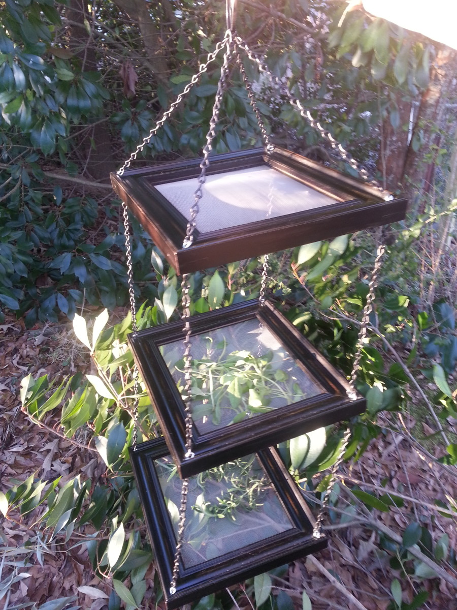DIY Herb Dryer Out of Old Picture Frames
