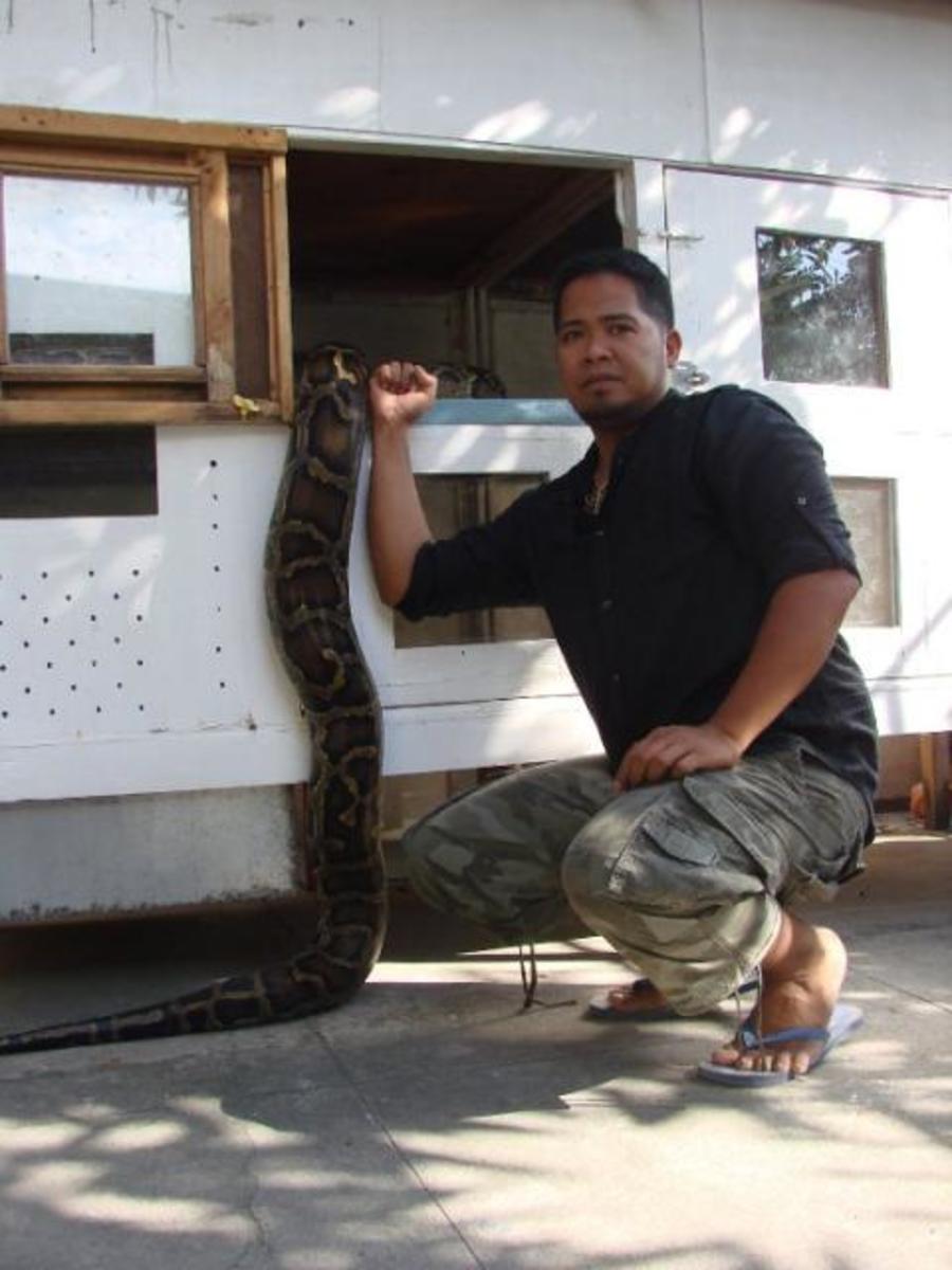 Basic Python care - HubPages