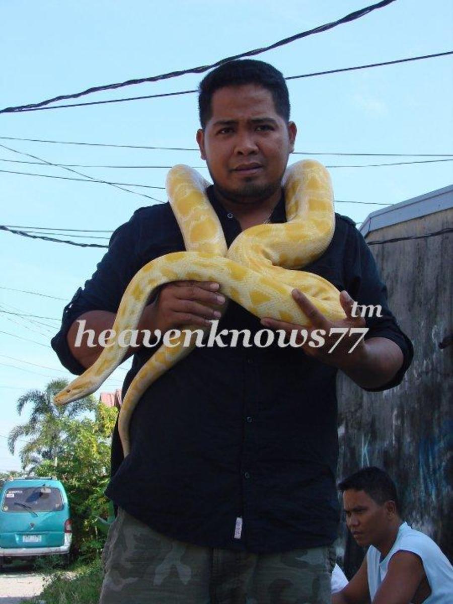 Basic Python care - HubPages