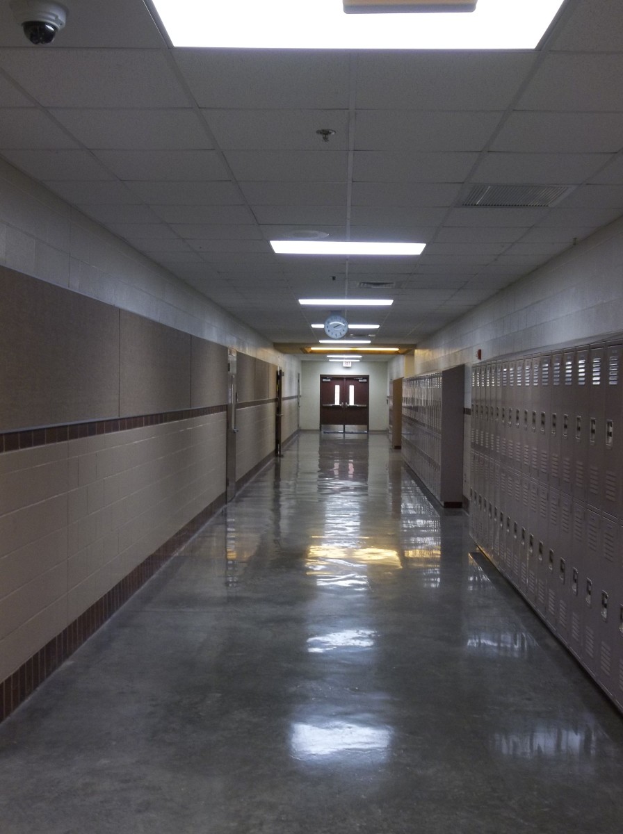 How to Fix the Educational Crisis