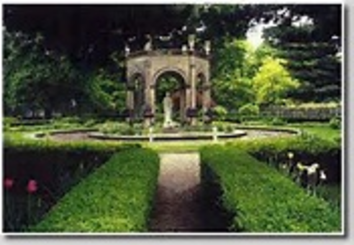 Walking the labyrinth in New Harmony, Indiana. A spiritual occurrance. Prose