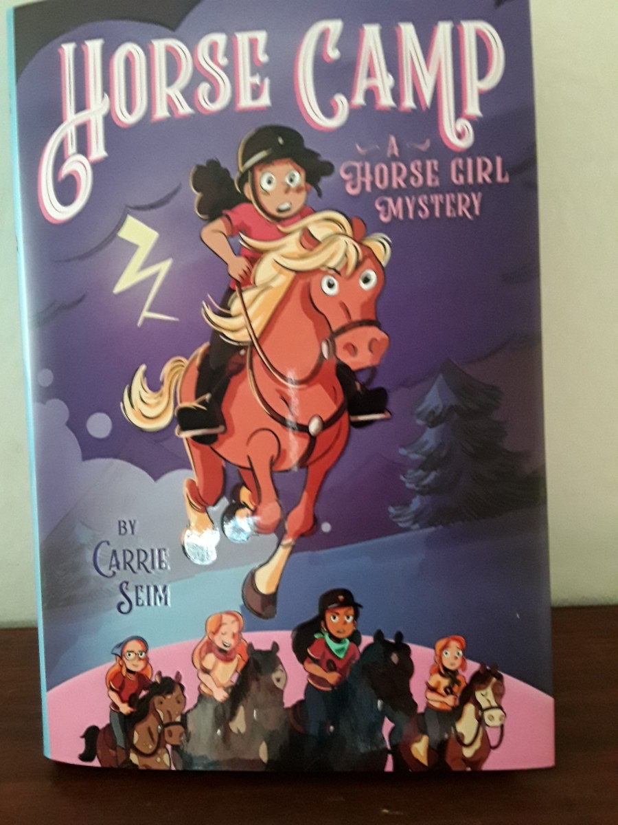 Camp That Is All About Horses That Comes With a Mystery in Engaging Chapter Book