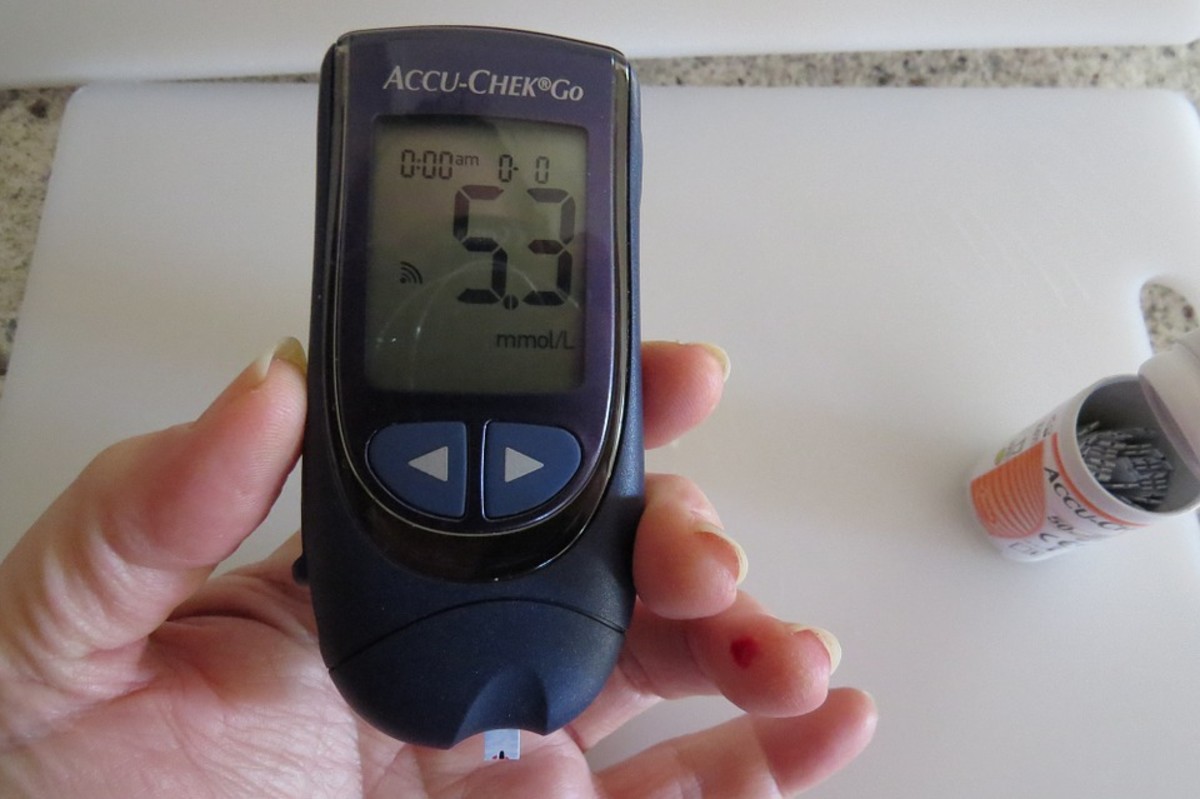 Diabetics: Trained Dogs Can Alert Owners of Low Blood Sugar Level