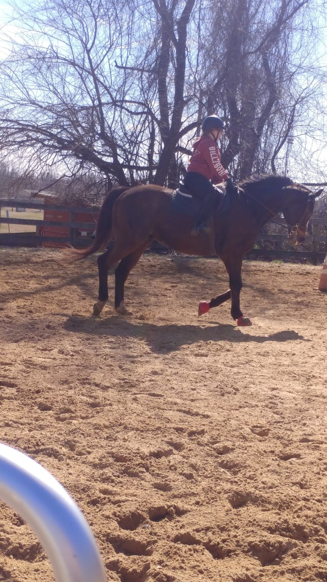 Had a Bad Ride on Your Horse?