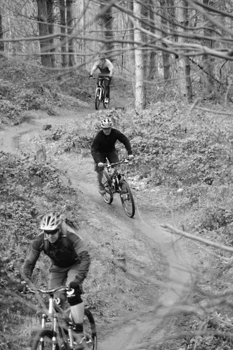 Examining the Relationship Between Exercise and Mental Health