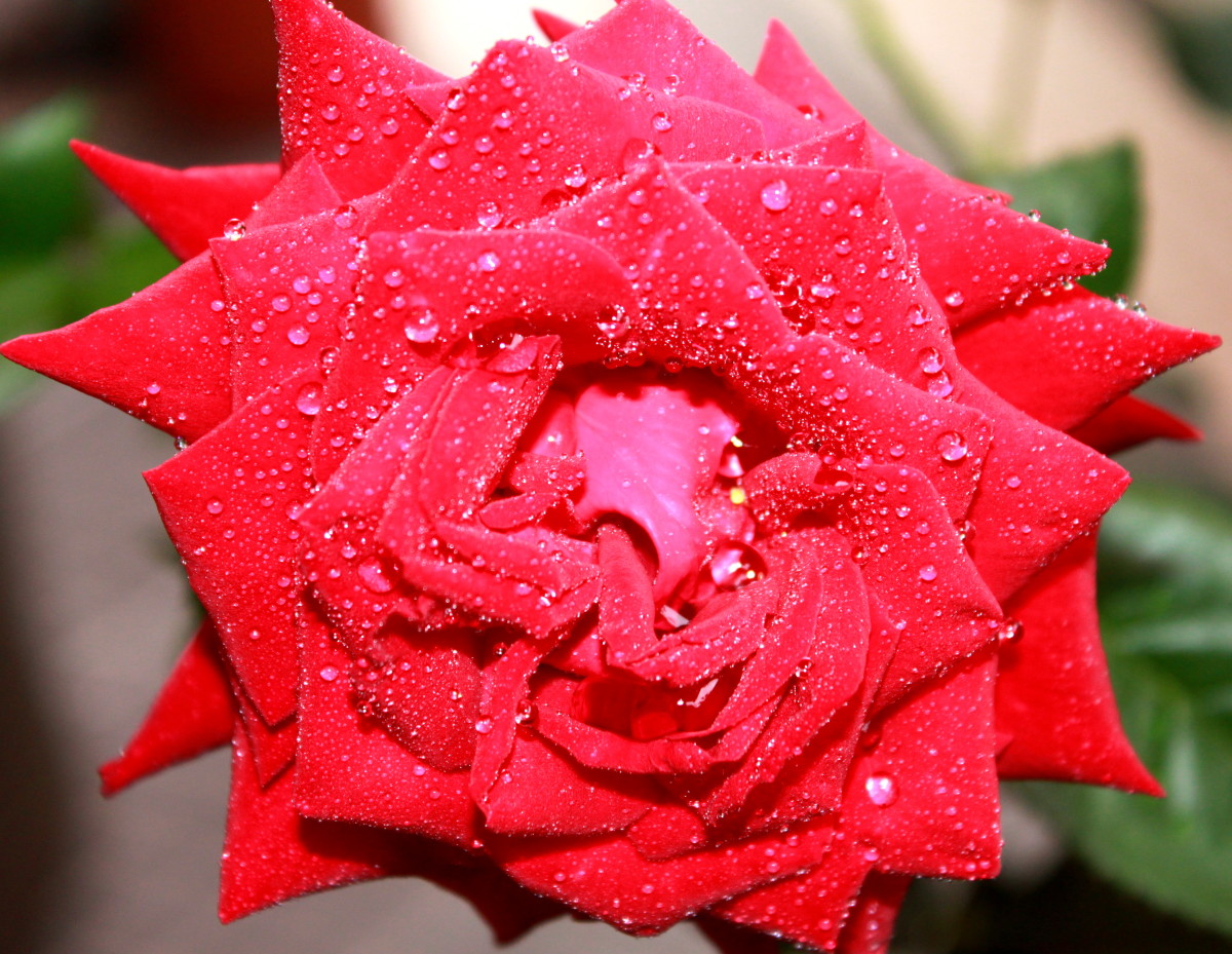 The Joy of Motherhood: A Poem To My Unborn Daughter