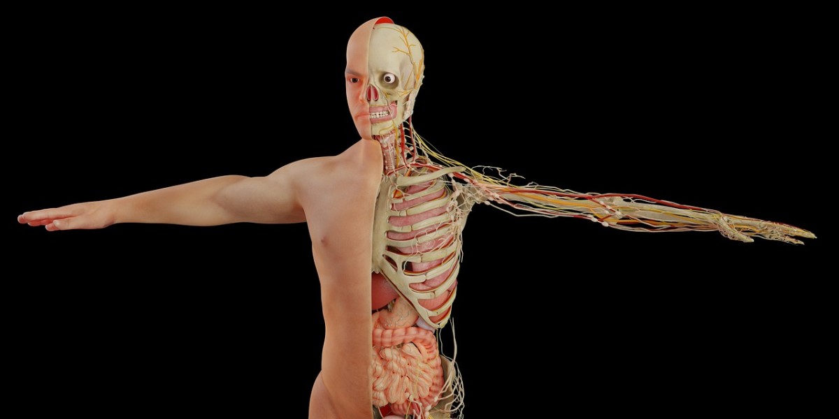 Strange Diseases: 5 Real Conditions That Seem Almost Supernatural