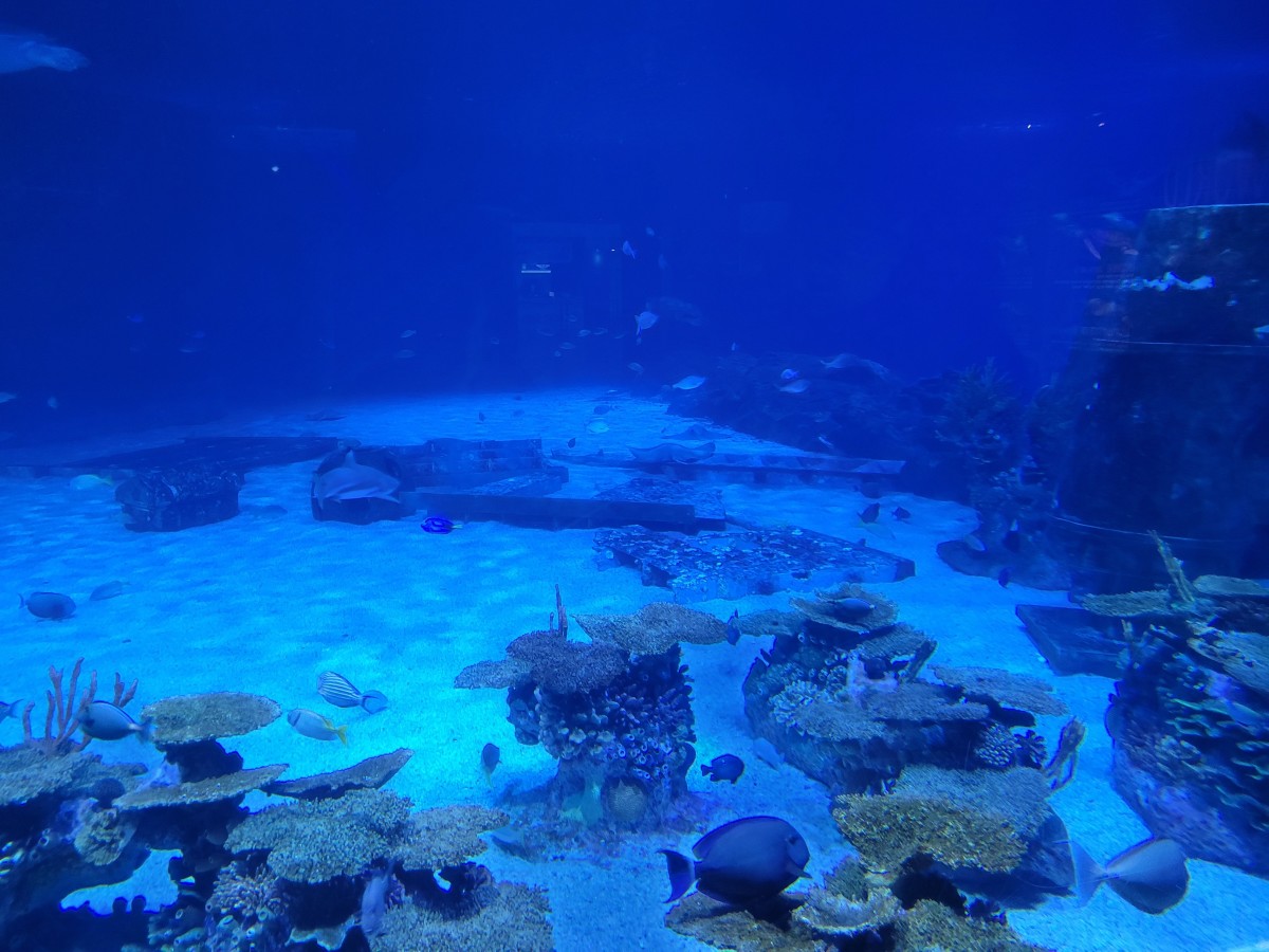 Adventure Aquarium, Camden, New Jersey