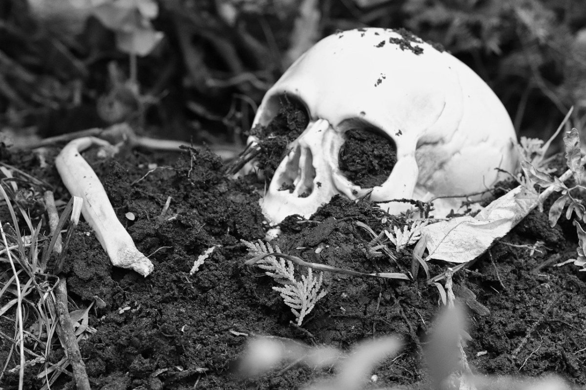 Why a Chinese Army Ate the People It Was Defending (and 5 Other Cases of Cannibalism From History)