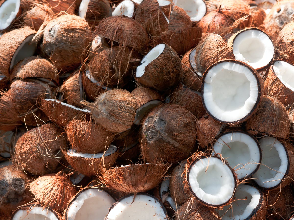 Is Coconut Oil An Effective Natural Mosquito Repellent?
