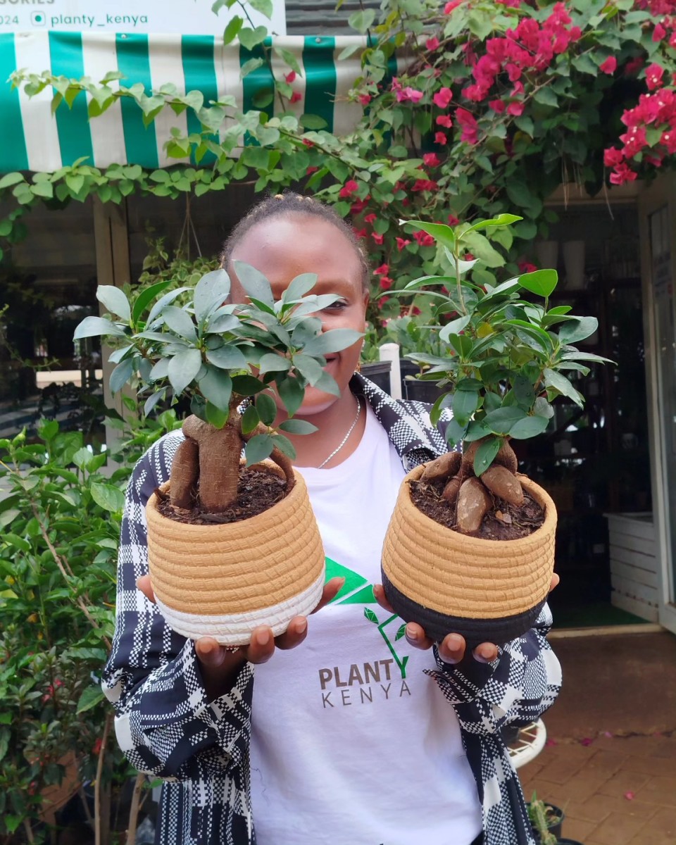 How a Kenyan Woman Makes Good Cash Importing Exotic Plants and Selling It to Locals
