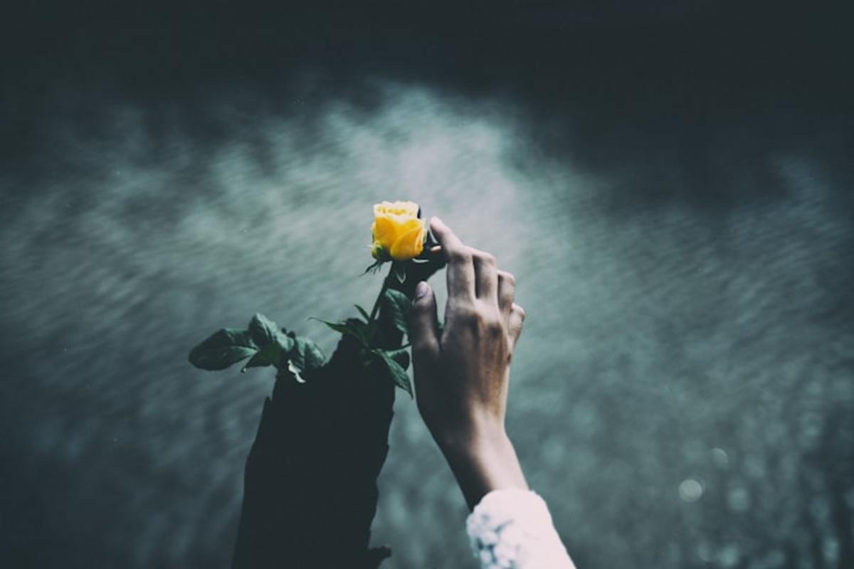 Feel Poem