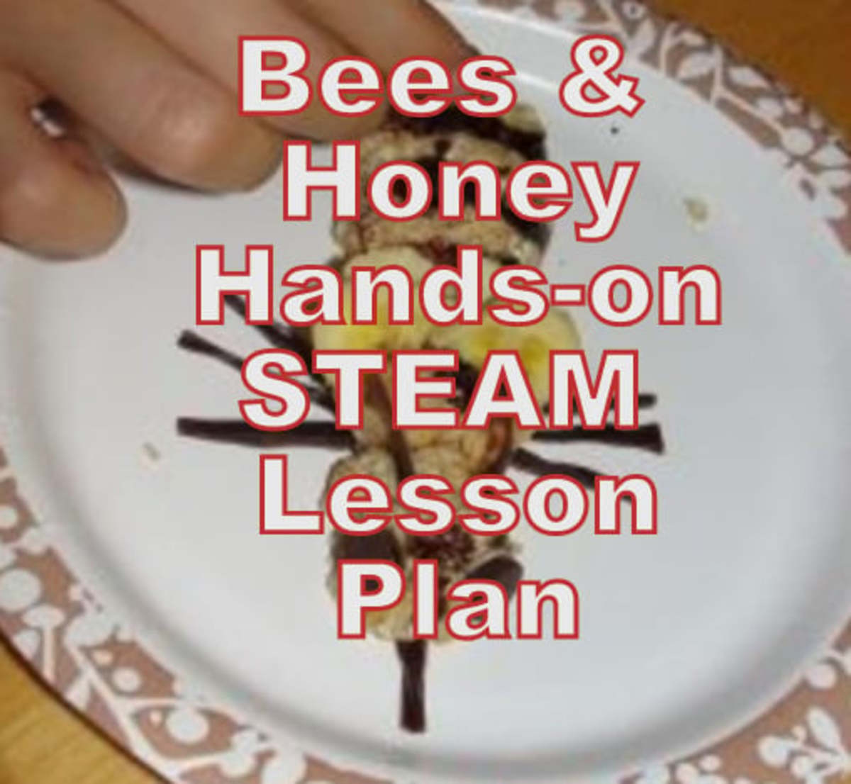 Bee & Honey Hands-on Lesson Plan for Elementary