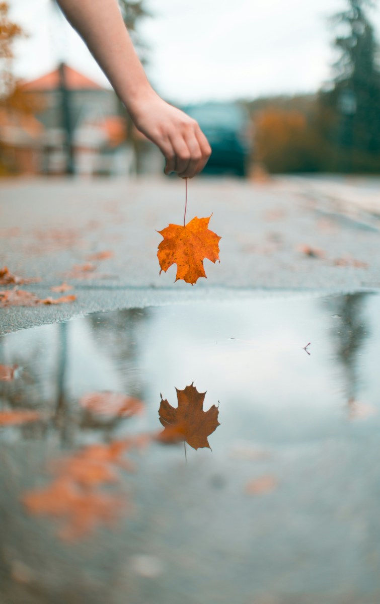 Activities and Crafts with Fall Leaves