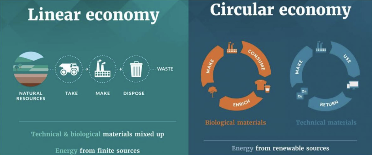 A Circular Economy: The Sustainable Future Path for Businesses and the Planet