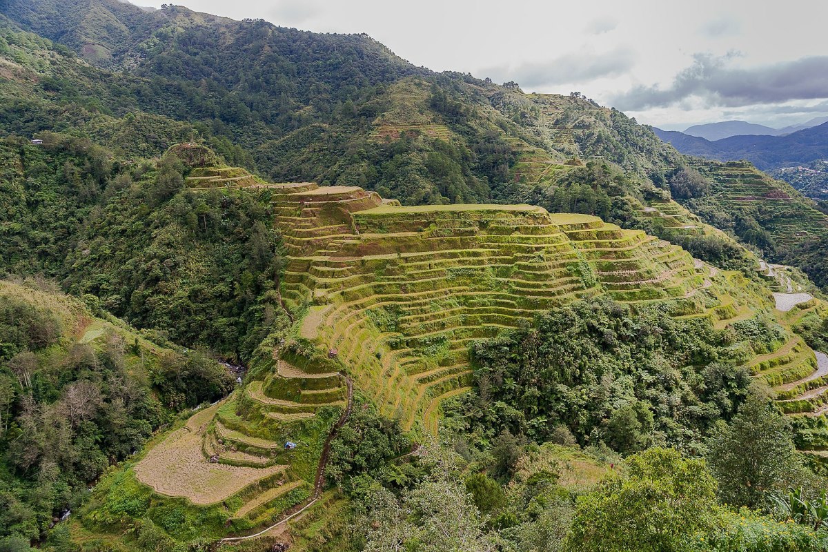 Philippines: Many Islands, Chocolate Hills, and Duck Eggs