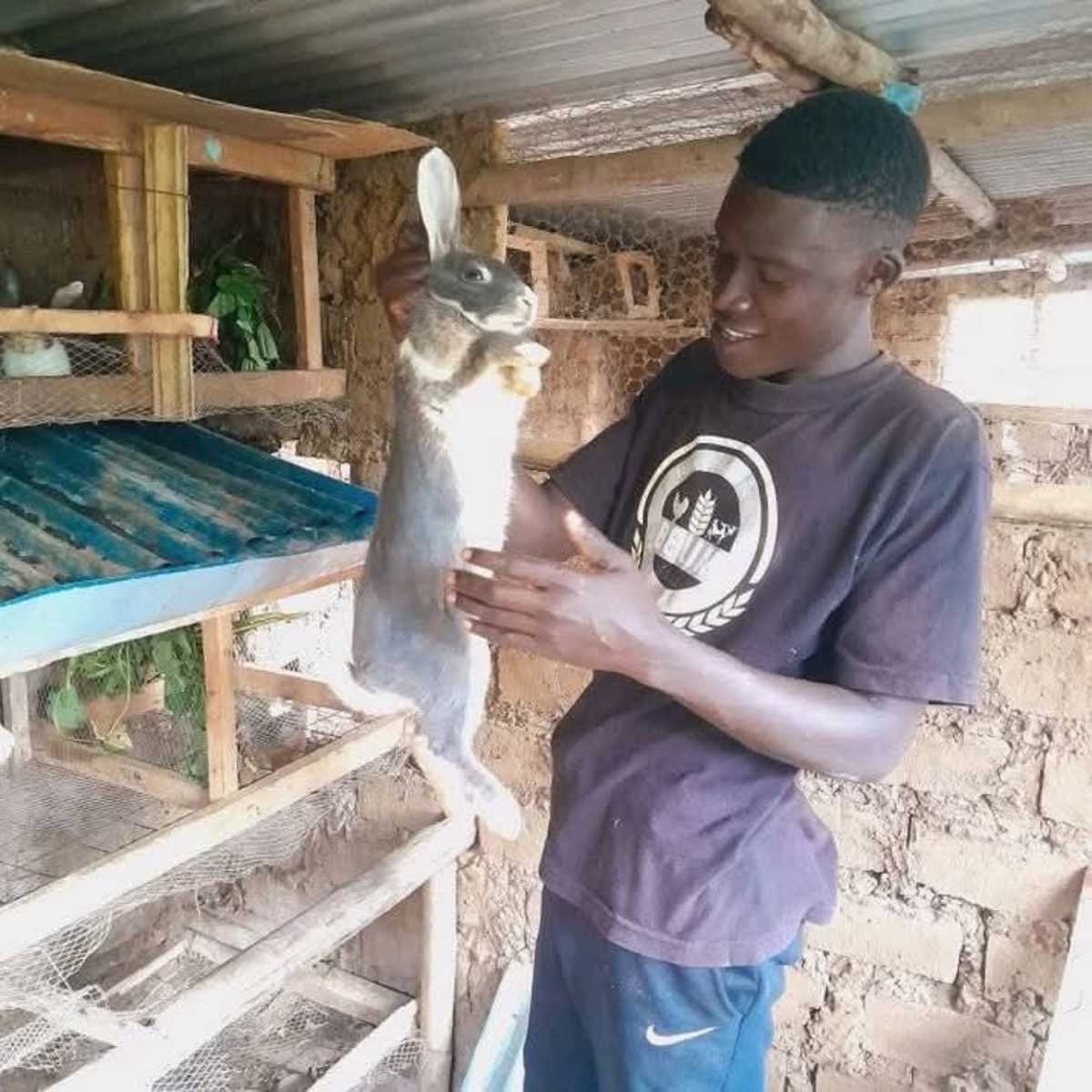Meet Ephraim Omachi- Kenyan Graduate Tutor Who Is Making Clean Money out of Rabbit Urine
