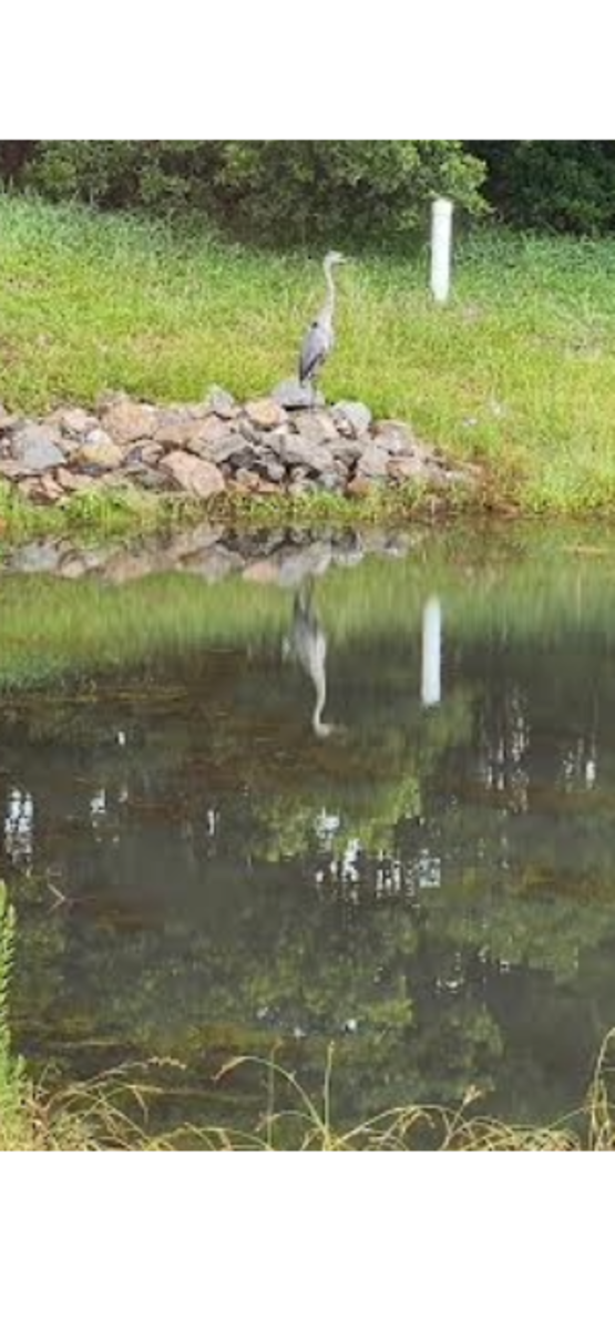 Humble thyself to Pray (Poem)
