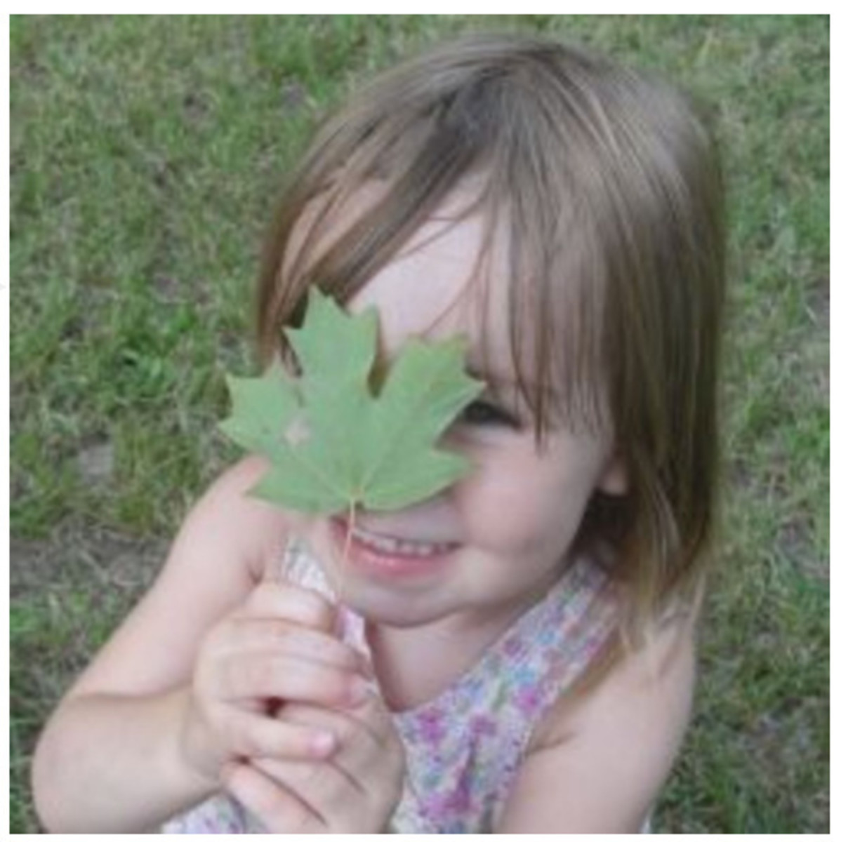 Botany Scavenger Hunt & Field Trip Ideas