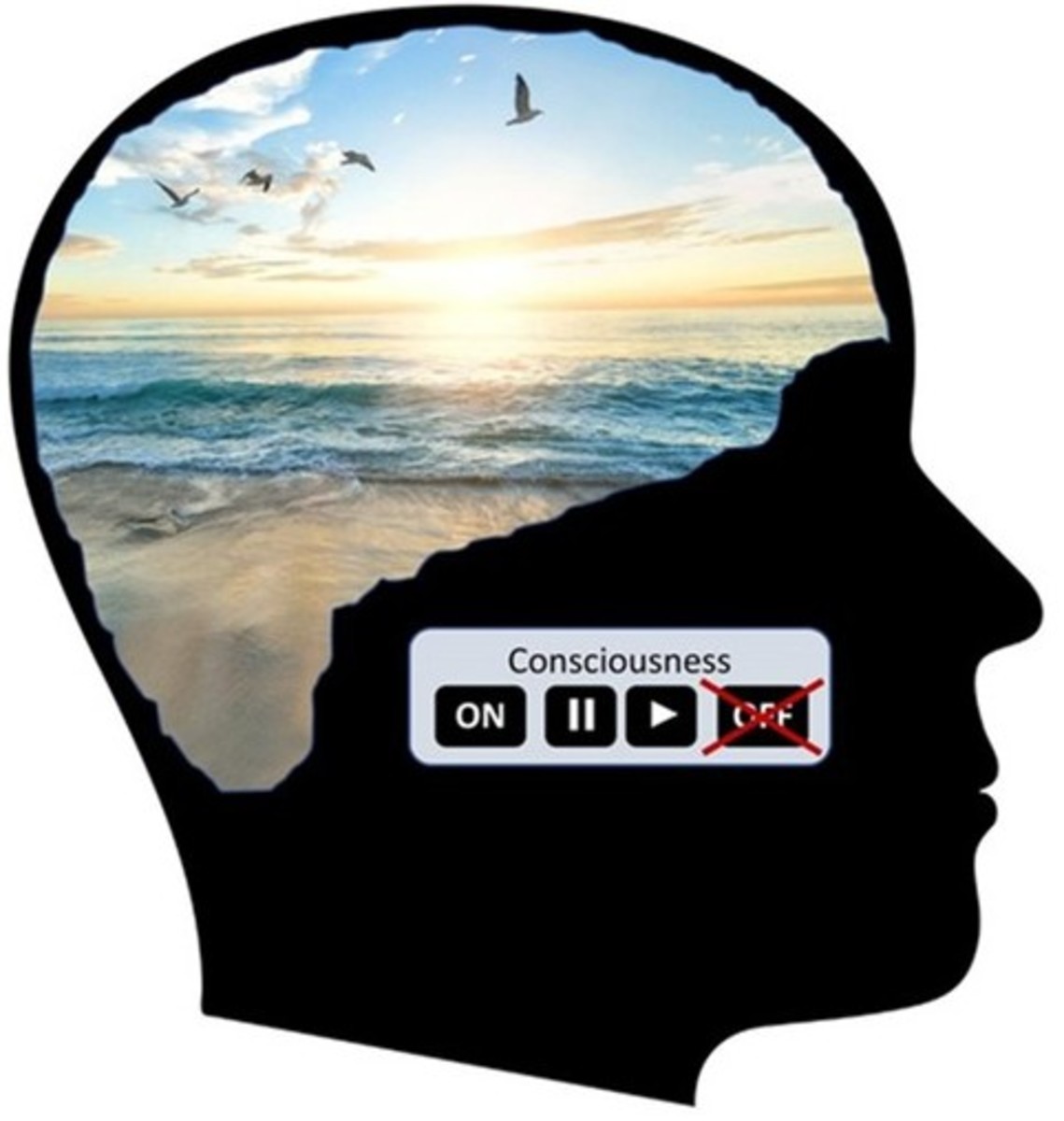 Our Natural Eternal Consciousness: What Everyone Should Know