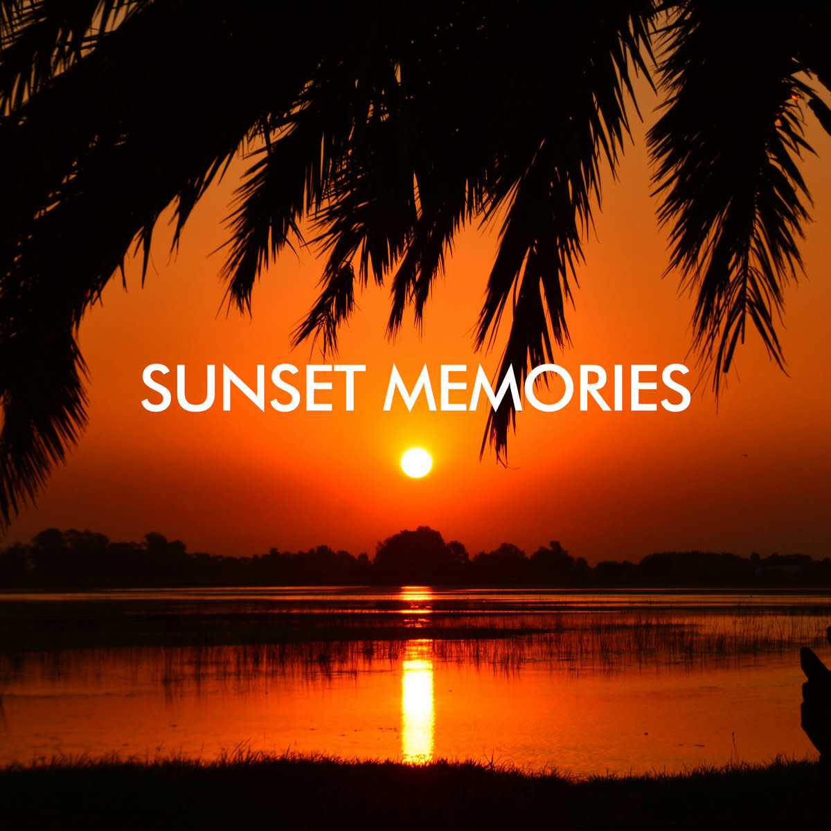 Synth Single Review: “Sunset Memories’’ by Dimi Kaye