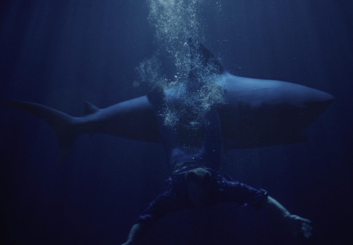Shark Attack Sunday: Shark Lake (2015)