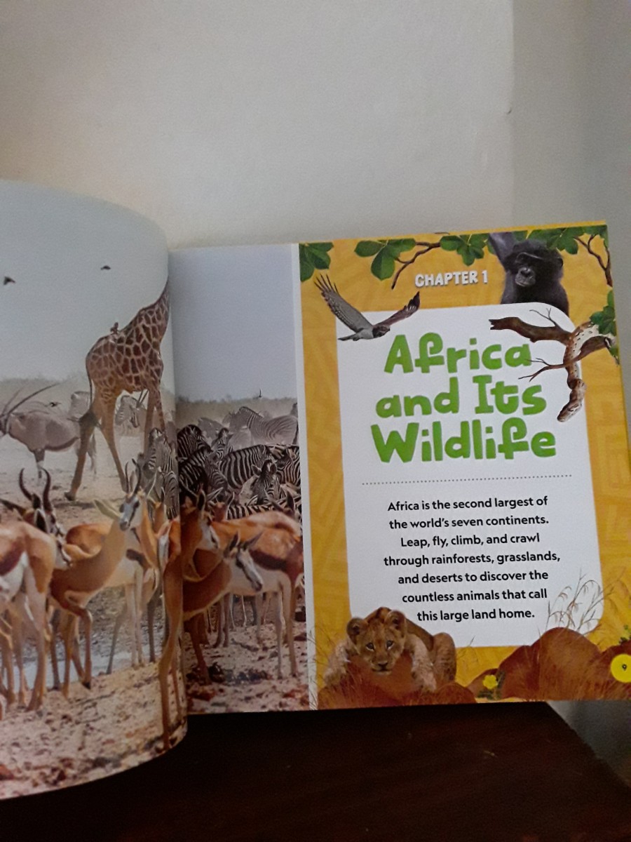 Africa and the Awesome Animals Featured in National Geographic Kids Big ...