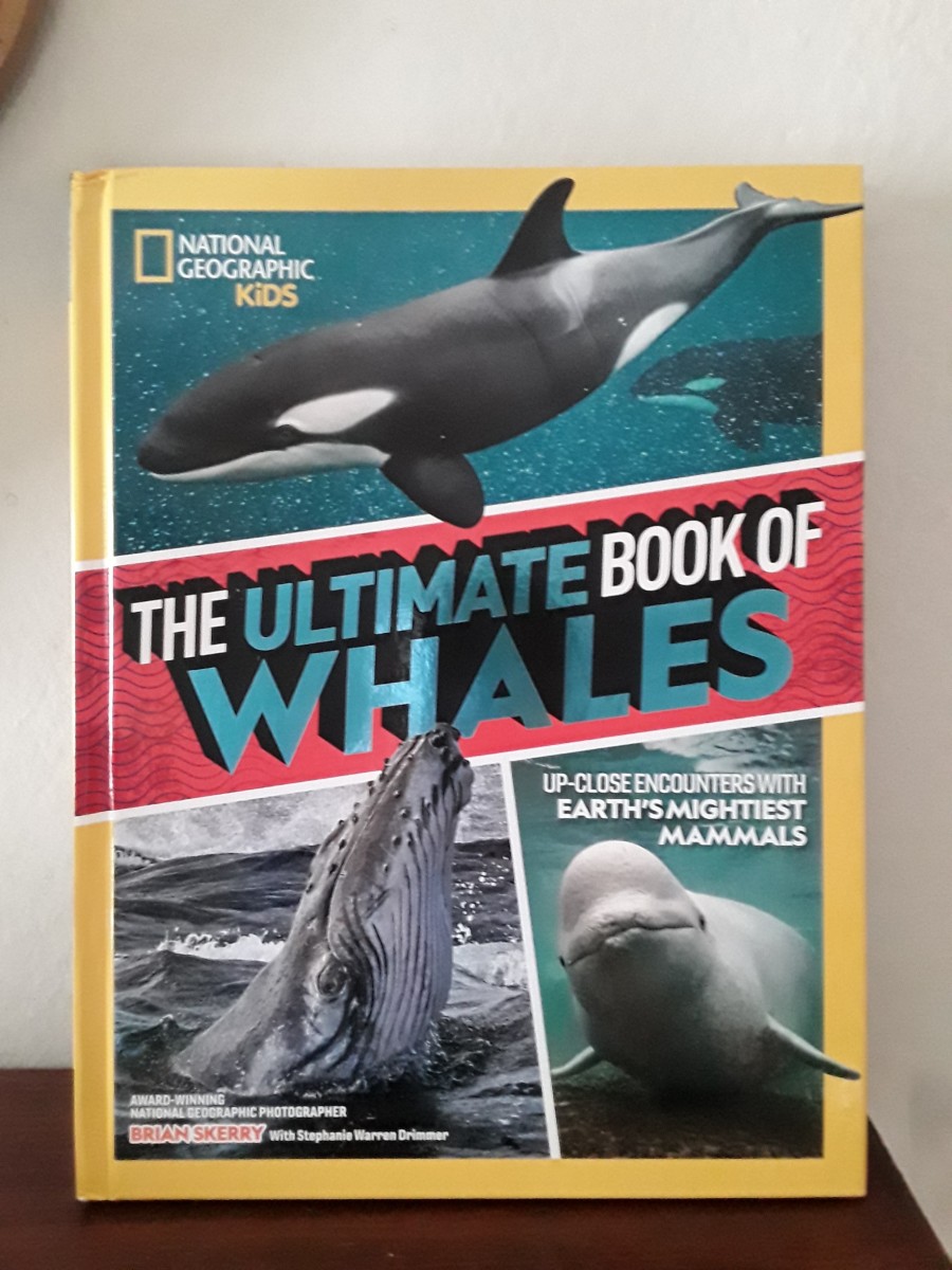 Whales Are the Giants of Our Oceans in National Geographic Kids Book