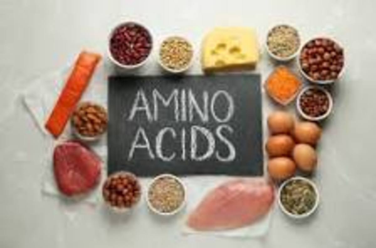 9 Essential Amino Acids That Are Good For You