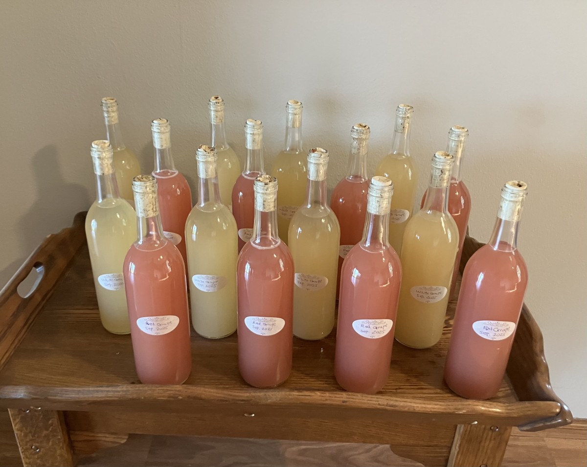 Homemade wine ready for storage